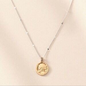 Stella & Dot | Necklace | Heritage Coin Mini